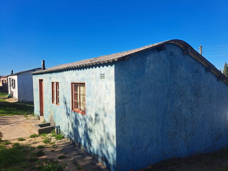 A side view of a detached residential structure featuring a textured blue facade, corrugated roofing, and timber-framed windows.
