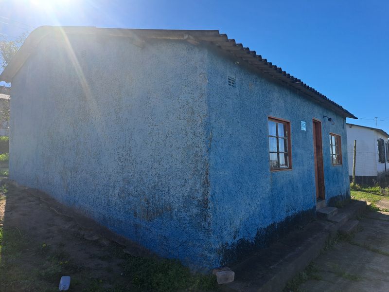A side view of a single-story house featuring a textured blue exterior, corrugated roofing, and timber-framed windows.