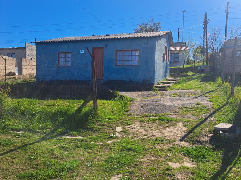 A detached single-story house with a blue rendered facade, corrugated roof, and a front yard with a concrete driveway and wire fencing.