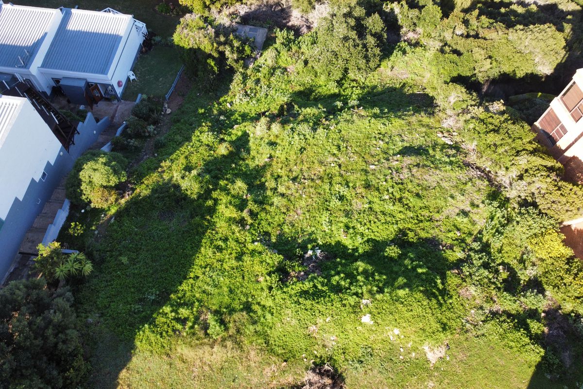 An aerial view of a vacant residential plot covered in dense natural vegetation, situated between existing residential properties.