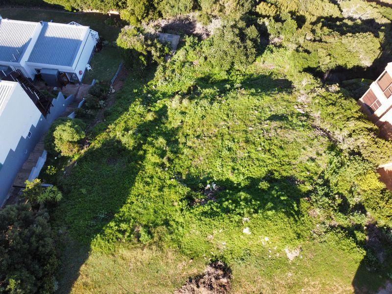 An aerial view of a vacant residential plot covered in dense natural vegetation, situated between existing residential properties.