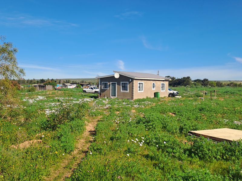 A view of the rear elevation of a small holding dwelling set within a large, open, grassy field.