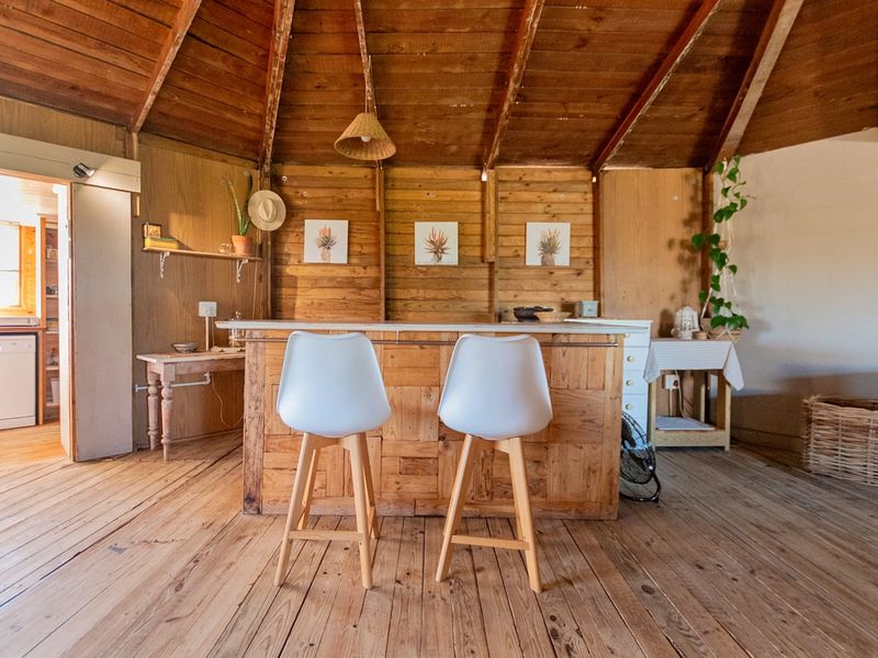 Rustic Charm. Proven Income. Endless Potential. - Photo 8