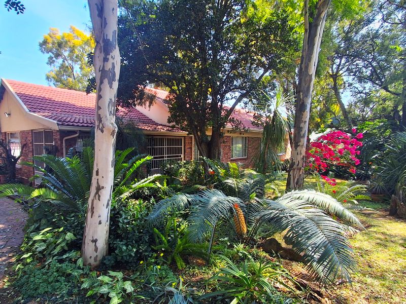 A charming brick house featuring a tiled roof, secure window bars, and a lush, mature garden with a paved driveway approach.