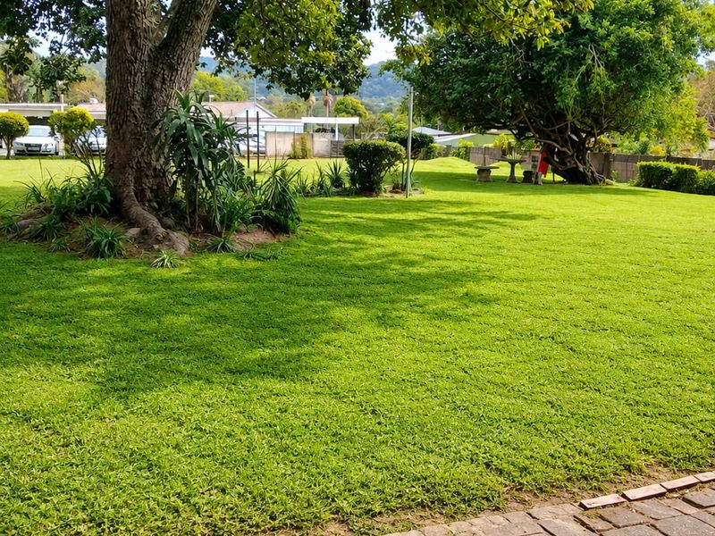 A well-maintained, spacious garden area featuring a paved walkway, mature trees, and a lush green lawn.