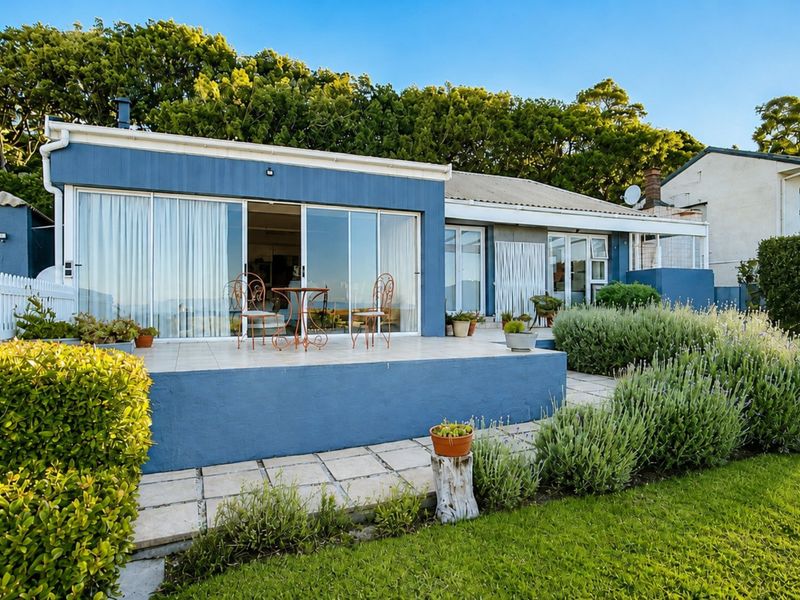 Rear view of the property featuring a blue-painted facade, a tiled patio area, and a well-maintained landscaped garden.