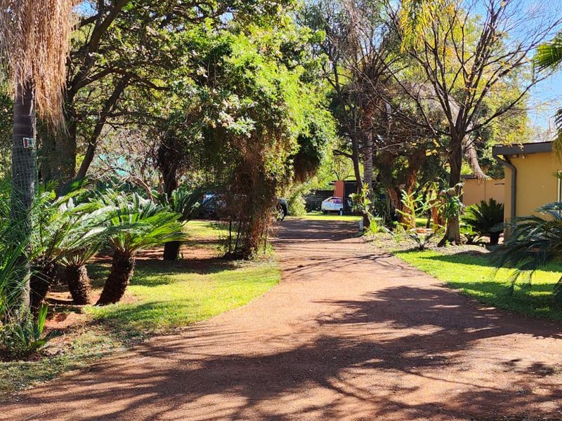 Expansive Family Retreat on a Tranquil One-Hectare Plot - Photo 3