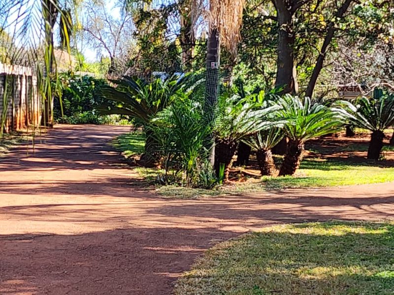 Expansive Family Retreat on a Tranquil One-Hectare Plot - Photo 2