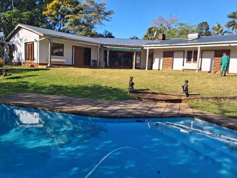 Rear view of the property featuring a swimming pool, paved deck, covered patio area, and a spacious lawn with established garden surroundings.