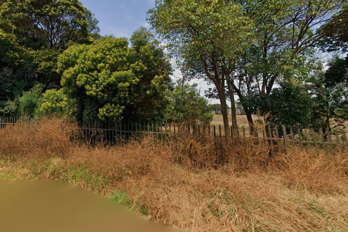 A view of an overgrown garden area featuring mature trees and metal palisade perimeter fencing on a small holding property.
