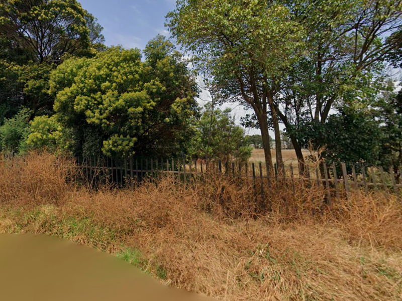 A view of an overgrown garden area featuring mature trees and metal palisade perimeter fencing on a small holding property.