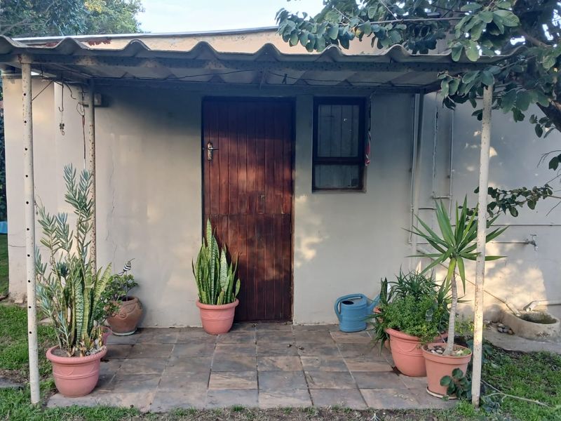 A covered patio area featuring a tiled floor, timber door, and corrugated roof structure, set within a garden environment.