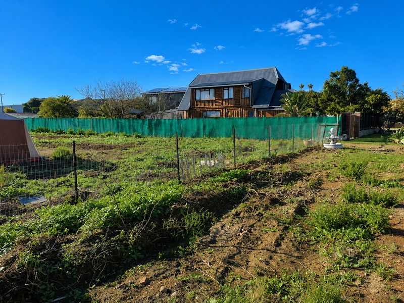 A view of a residential garden plot featuring wire fencing, privacy screening, and an ornamental fountain with a house visible in the background.