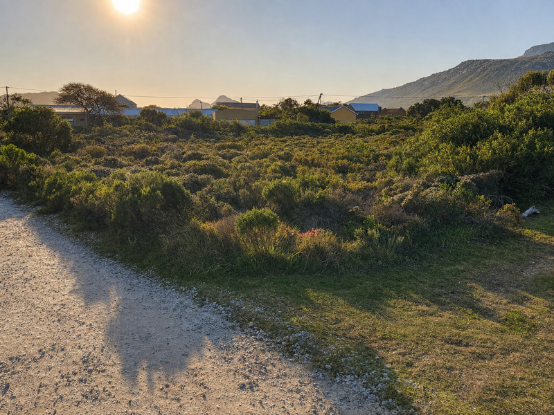 A view of a vacant residential plot featuring native vegetation and adjacent gravel road access with mountain views in the background.
