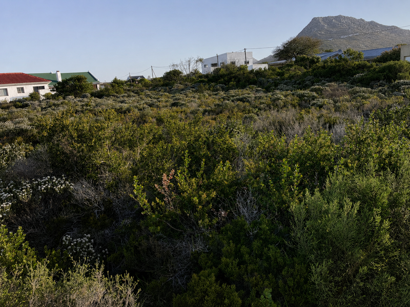 A vacant residential plot covered in native coastal vegetation with scenic mountain views in the background.