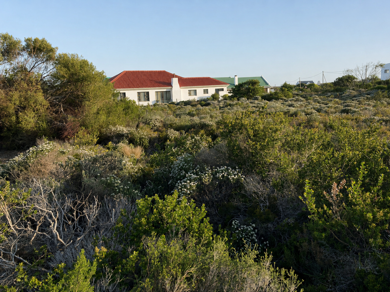 A view of a residential property exterior featuring a tiled roof and masonry walls, surrounded by natural coastal vegetation.