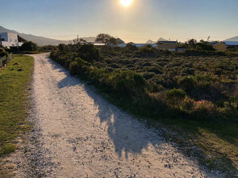 A view of an unpaved access road bordering a vacant residential plot with native coastal vegetation.