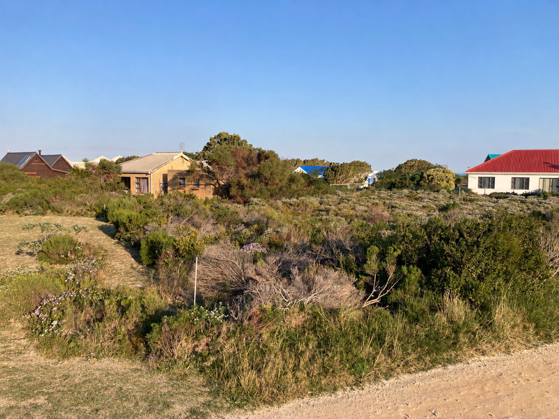 A view of a vacant residential plot covered in indigenous vegetation, situated in a developed neighborhood.