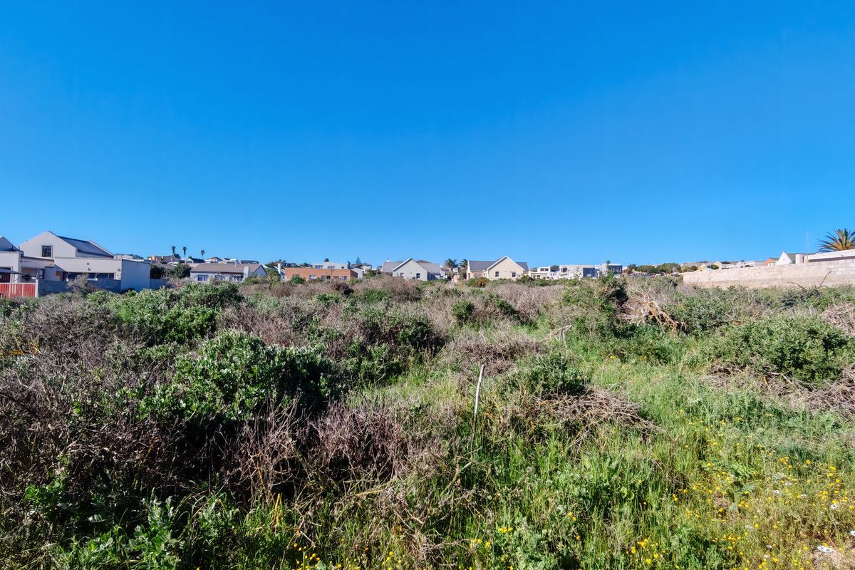 A vacant residential plot featuring natural vegetation and a boundary wall, situated in an established neighborhood with surrounding residential properties.