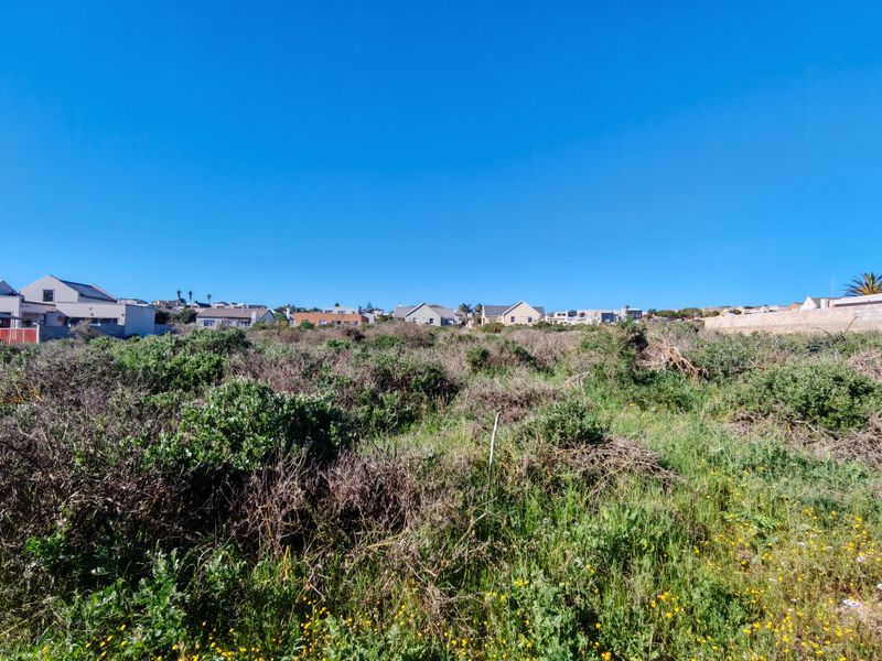A vacant residential plot featuring natural vegetation and a boundary wall, situated in an established neighborhood with surrounding residential properties.