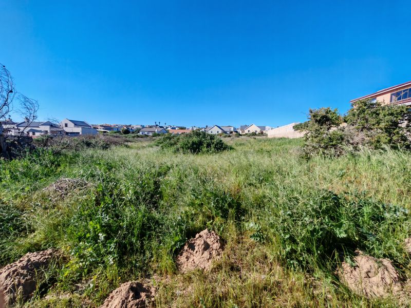 A vacant residential plot covered in natural vegetation, offering a clear view of the surrounding neighborhood and established residential properties.