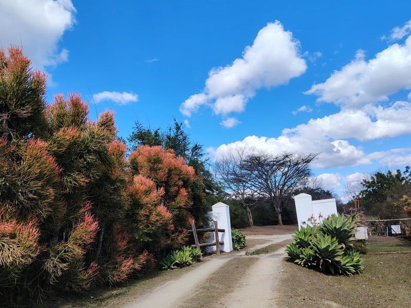 A gravel driveway entrance featuring masonry gate pillars and established landscaping, providing a rustic approach to the property.
