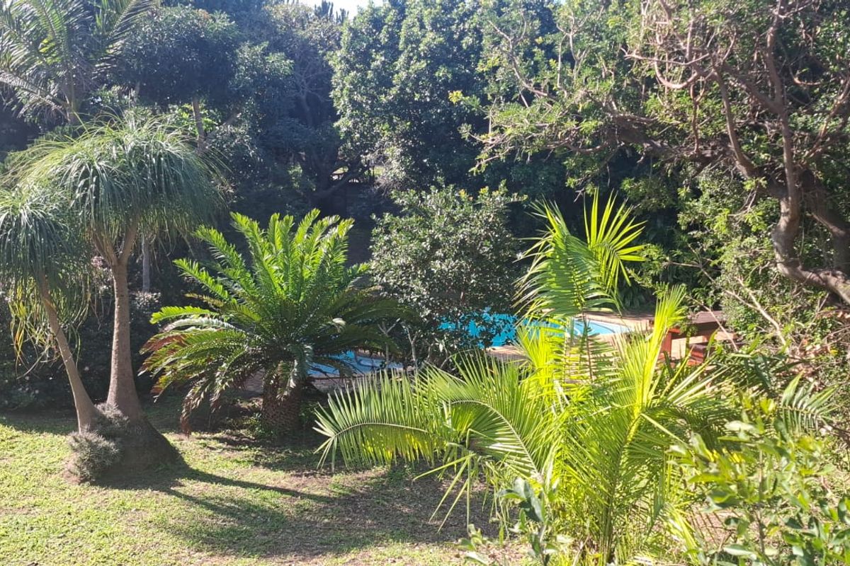 A lush, mature garden setting featuring established trees, tropical palms, and a partially visible swimming pool area.