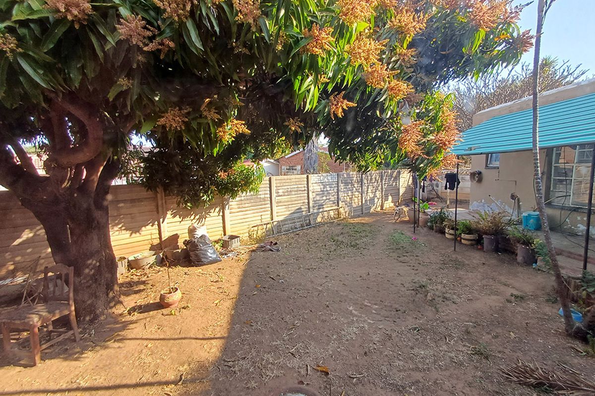 Rear garden area featuring a large mature tree, precast concrete boundary wall, and a covered patio section with a corrugated metal awning.
