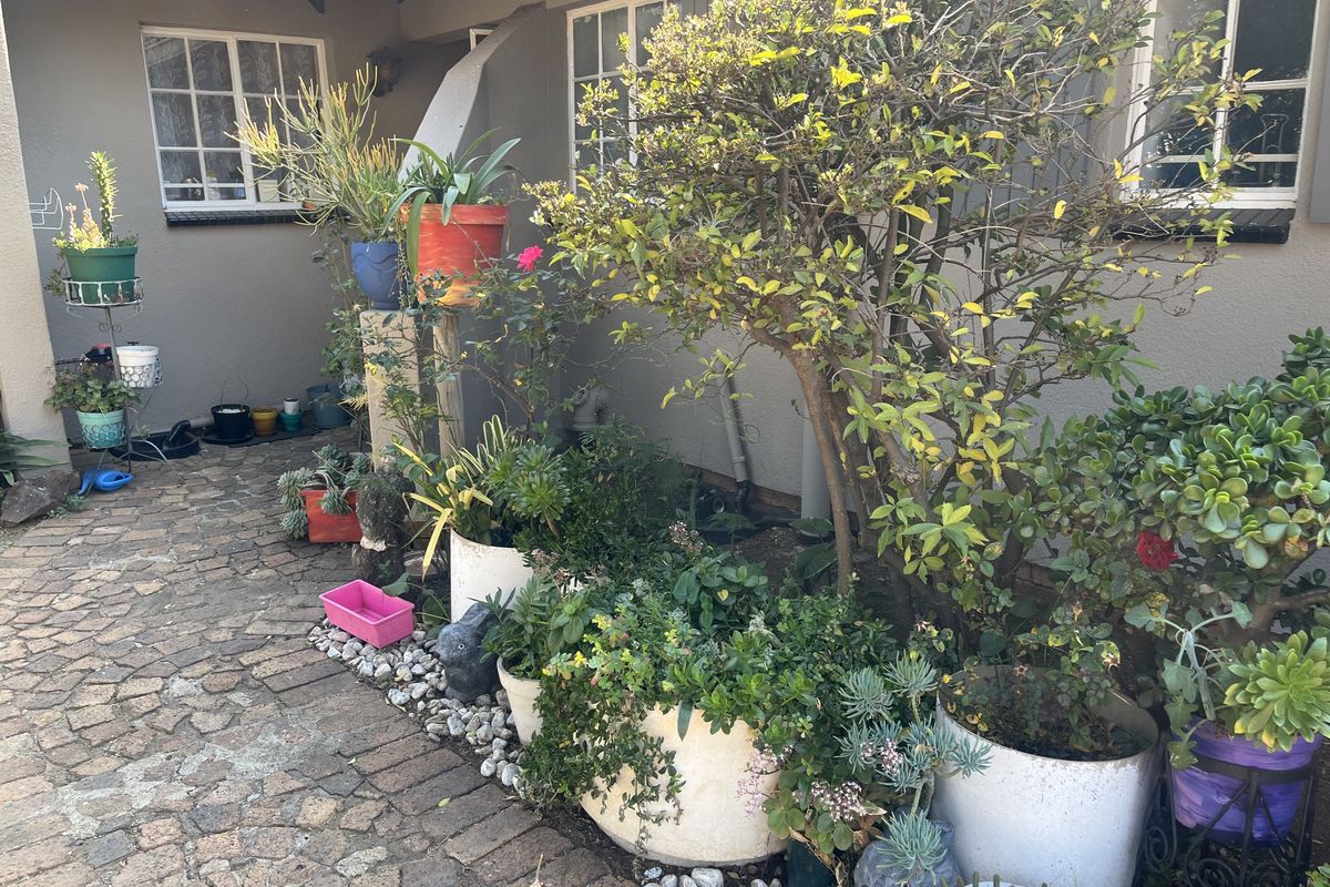 A paved rear courtyard area featuring established garden beds and casement windows along the townhouse exterior wall.