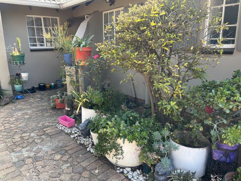 A paved rear courtyard area featuring established garden beds and casement windows along the townhouse exterior wall.