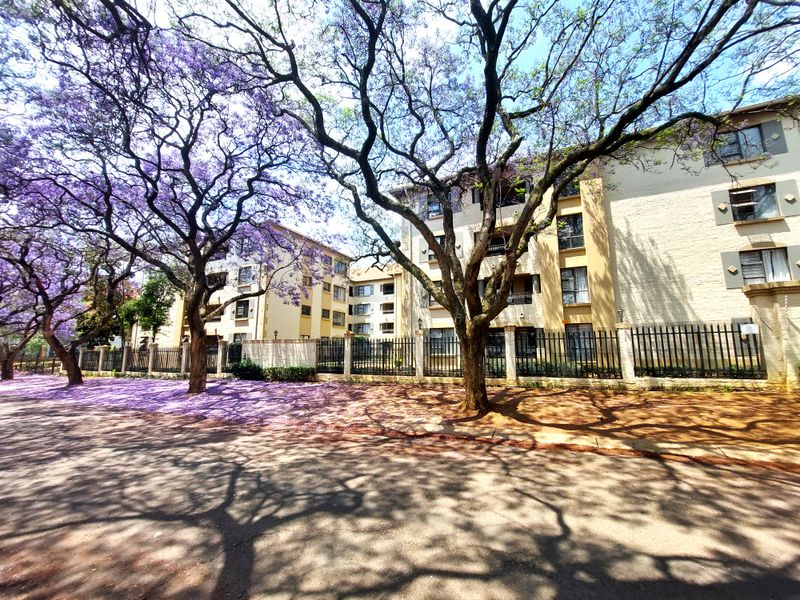 Street-level view of a multi-story apartment complex featuring mature jacaranda trees and secure perimeter fencing.