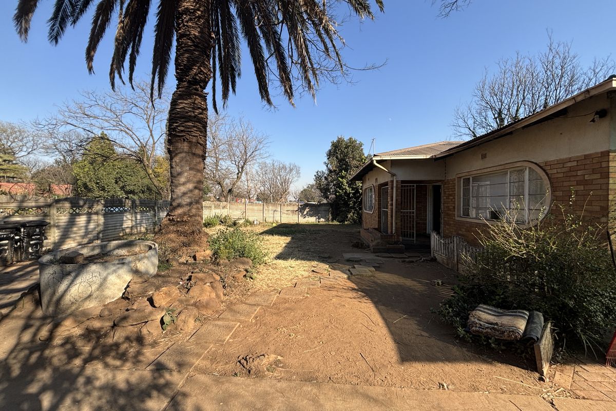 Rear exterior view of the property featuring a brick facade, concrete paving, and a large garden area with established palm tree.