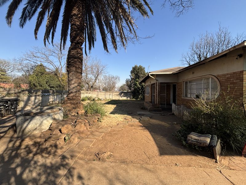 Rear exterior view of the property featuring a brick facade, concrete paving, and a large garden area with established palm tree.