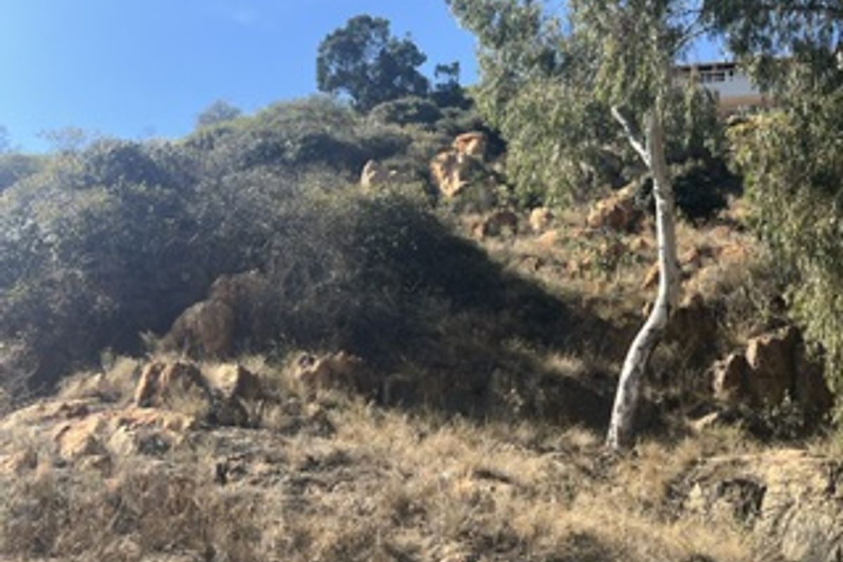 A view of the sloped, natural landscape featuring mature trees and exposed rock formations on the residential plot.