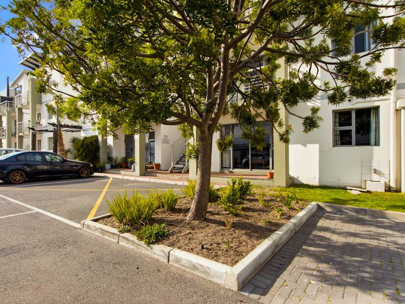 Front elevation of the apartment complex featuring paved parking, a central garden bed with mature tree, and access to ground floor units.