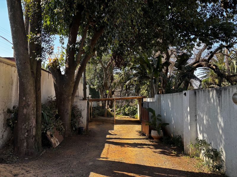 A private driveway entrance featuring a boundary wall, mature trees, and a simple carport structure leading toward the property.