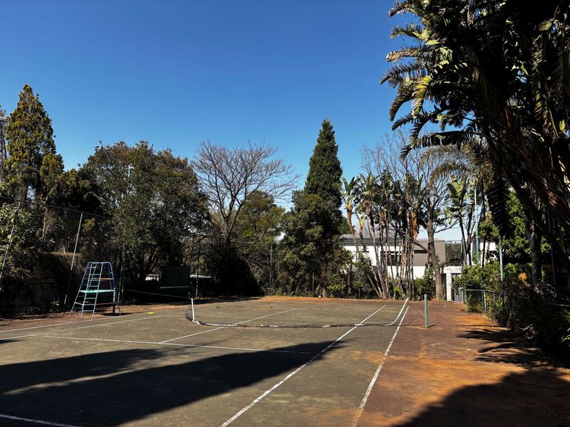 A private outdoor tennis court featuring a chain-link fence enclosure and a worn playing surface surrounded by mature trees.