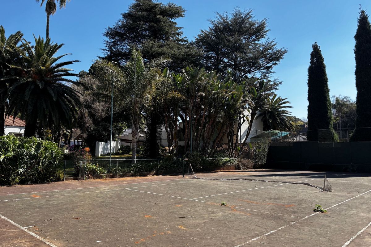 Outdoor tennis court featuring perimeter fencing and mature surrounding trees, currently showing significant wear and surface deterioration.