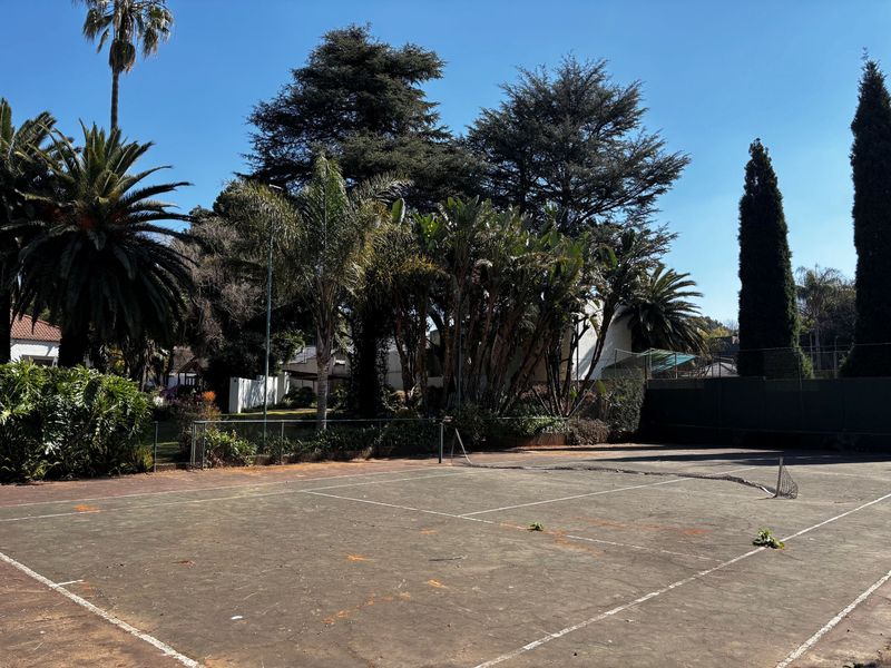 Outdoor tennis court featuring perimeter fencing and mature surrounding trees, currently showing significant wear and surface deterioration.