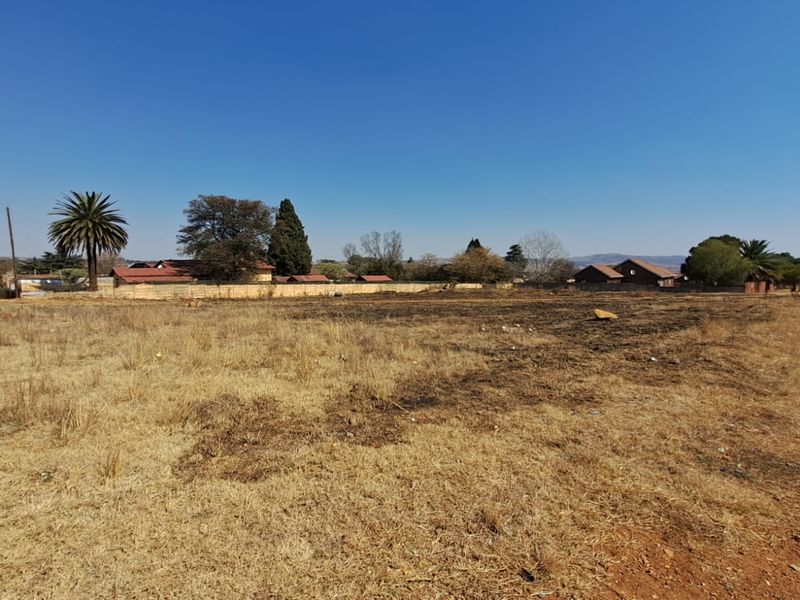 A wide-angle view of a vacant residential plot featuring dry grass, perimeter walling, and mature trees in a quiet neighborhood setting.