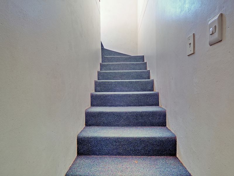 A simple, carpeted staircase leading upwards, featuring plain walls and standard light switches.