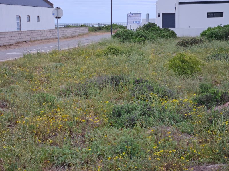 A street-level view of an undeveloped plot with natural vegetation, adjacent to existing residential structures and a paved road.