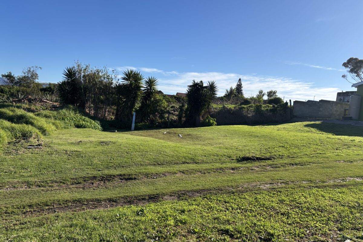 A view of a vacant residential plot featuring a grass lawn, established shrubs, and a boundary wall.