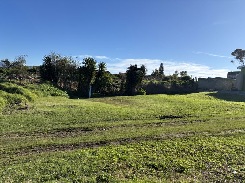 A view of a vacant residential plot featuring a grass lawn, established shrubs, and a boundary wall.