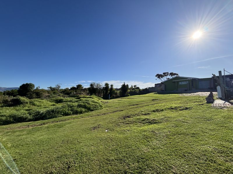 A wide-angle view of a spacious, grassy residential plot with established greenery and clear blue skies.