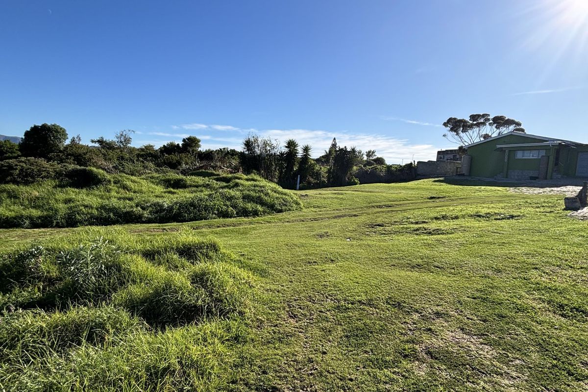 A wide, open grassy plot of land with natural vegetation and a boundary wall visible in the distance.