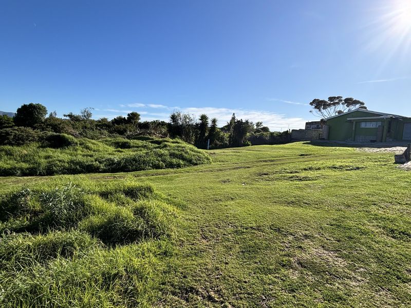 A wide, open grassy plot of land with natural vegetation and a boundary wall visible in the distance.