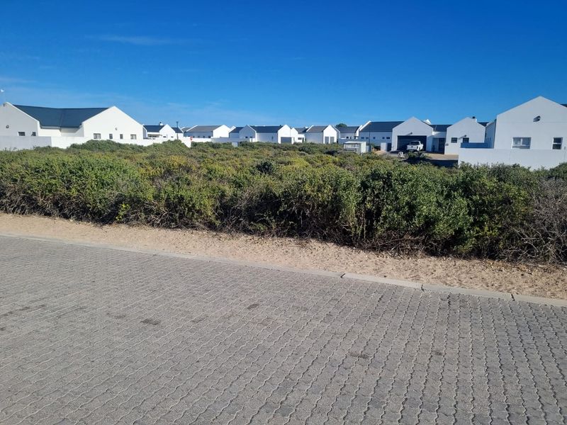 A street-level view of a residential housing development featuring white-walled homes with dark roofs, situated behind natural coastal vegetation and a paved road.