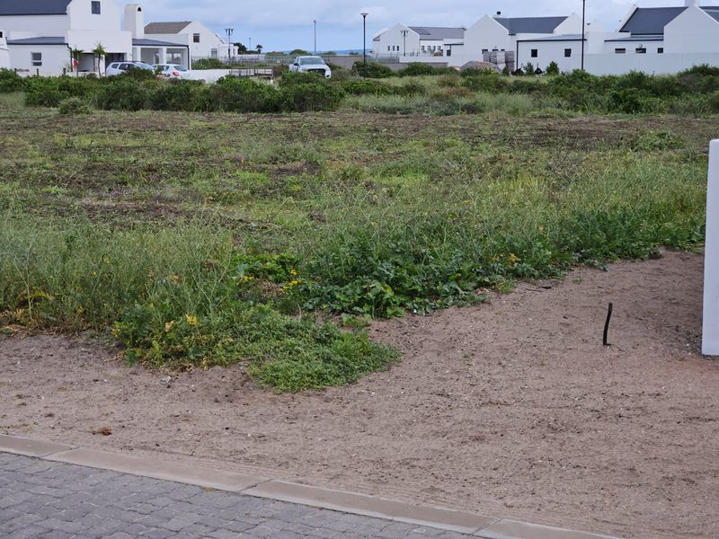 A view of an undeveloped residential plot with a paved verge in a suburban estate setting.