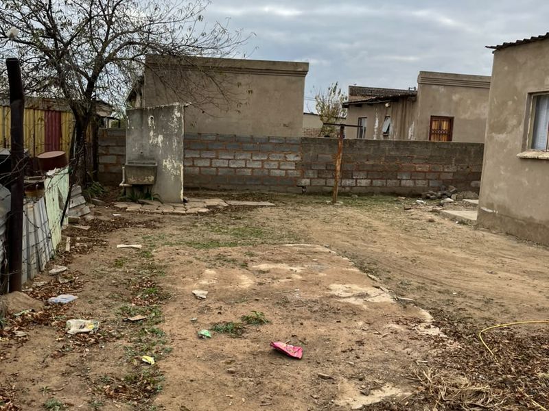 Rear yard area featuring a concrete boundary wall, an external wash basin, and unpaved ground space requiring landscaping and maintenance.